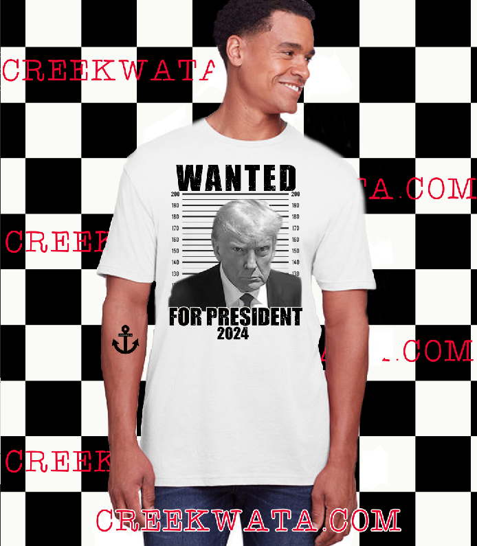 Wanted For President Unisex Tee